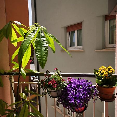Apuleio 11 Apartman Róma Kültér fotó