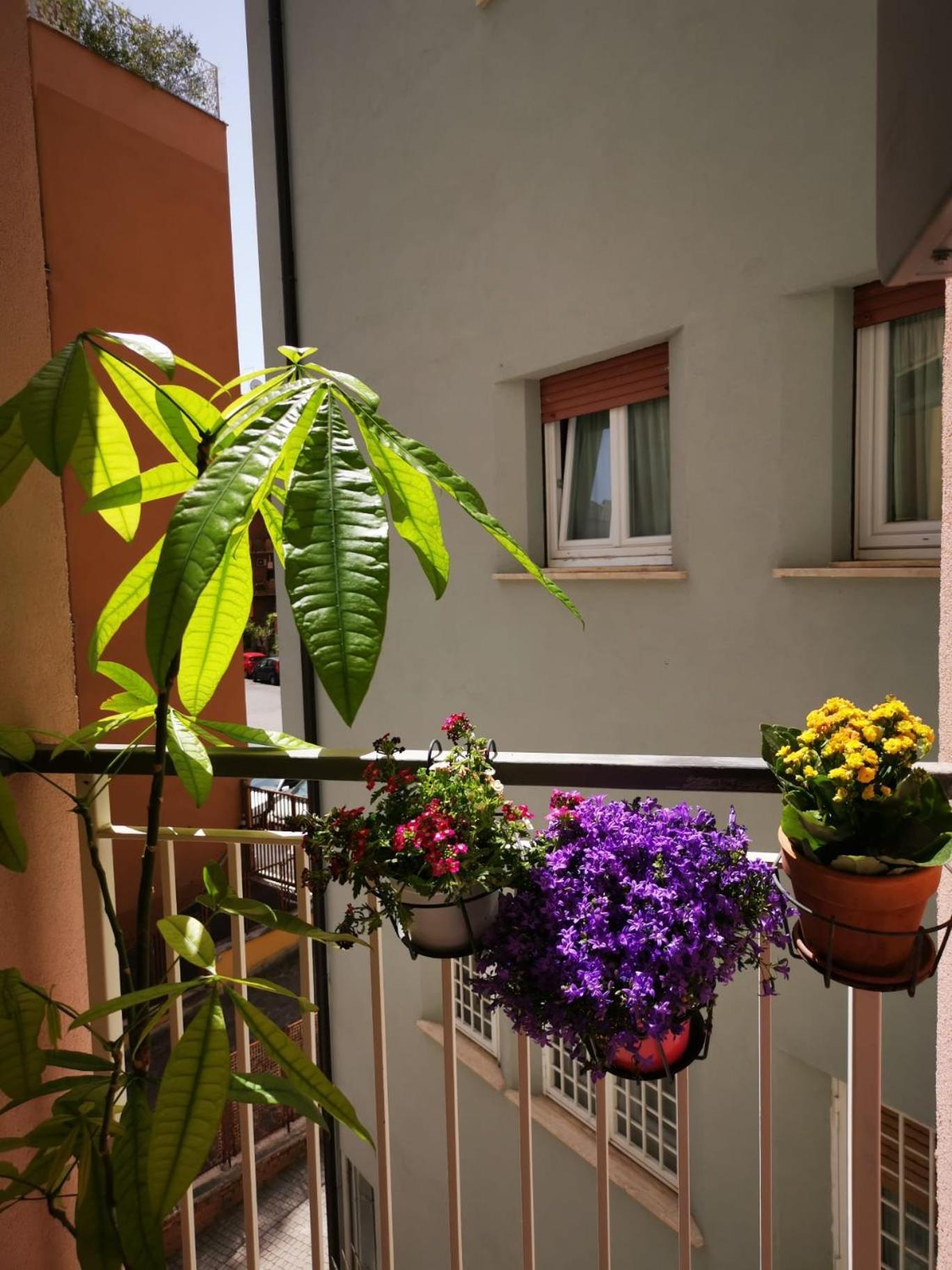Apuleio 11 Apartman Róma Kültér fotó